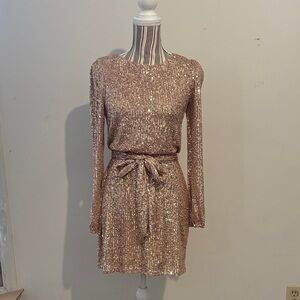 Crystal Sky rose gold sequin dress size small Worn